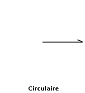 Mouvement du champ électrique lors d'une polarisation circulaire
